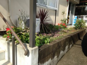 福岡　花壇　お花植え